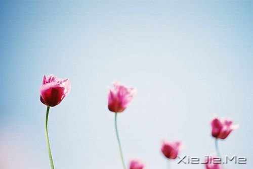 �簲��������ܻ������һ�����ᣬ������������ (3)