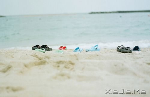 �簲�������ĺ�С����Ҫװ��̫������ (5)