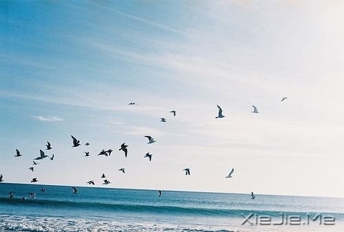 �簲��������ж�пᣬ��͸��ж��ǿ (1)