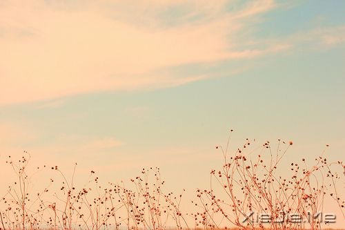 �簲����������з����꣬Ҳ������ (7)