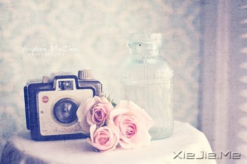 早安心语:我们要在安静中,不慌不忙的坚强 (1)