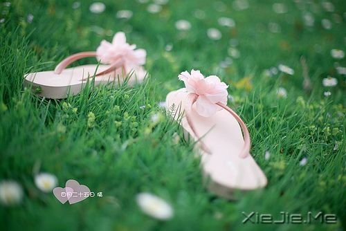 �簲����վò�һ�����飬���ض������� (5)