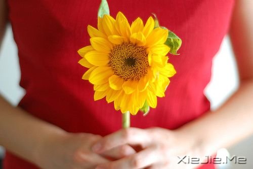 С����ͼƬ (3)