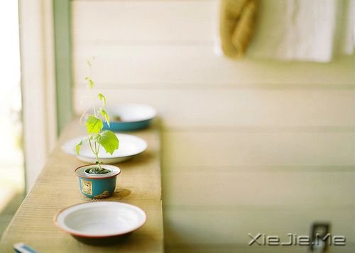 С����ͼƬ (21)