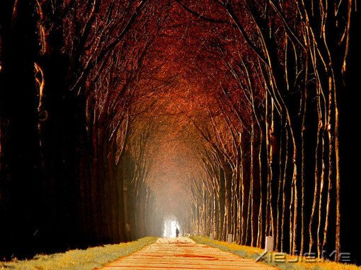 ���������£��Ҵ����������������·����