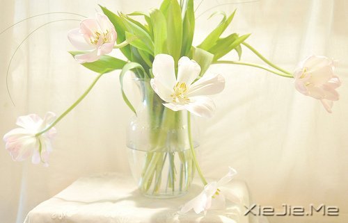 教会孩子十件事