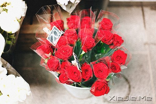 ���֣��ſ���̥�����壿