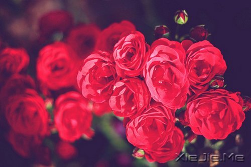 文字:夫妻之间最大的矛盾是阶级