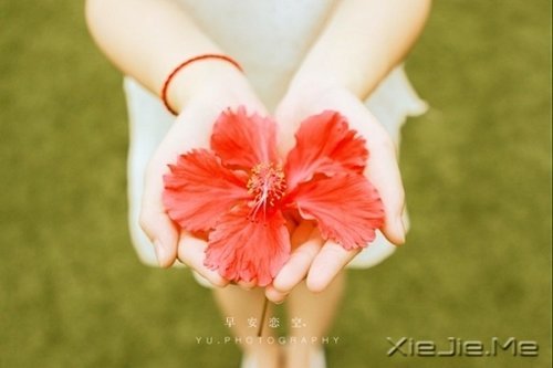 放下这十样东西,你会变得更加优秀 (7)