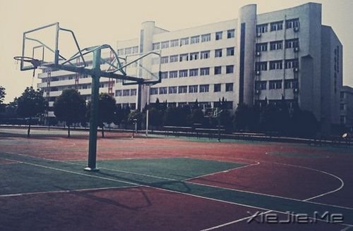 ���ڱ�ҵ��20�׸����Ƽ� (15)