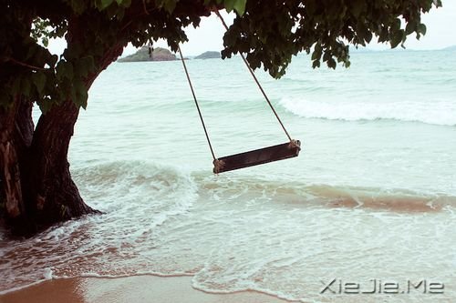 ��־���£���������������