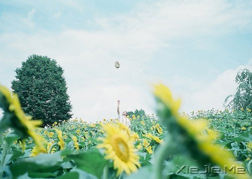 �����֣����ֺͿ��Ѷ�ֻ��һ˲��