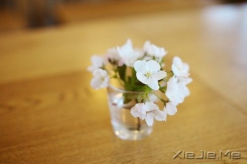 ���������ر���8ζ��ҩ (3)