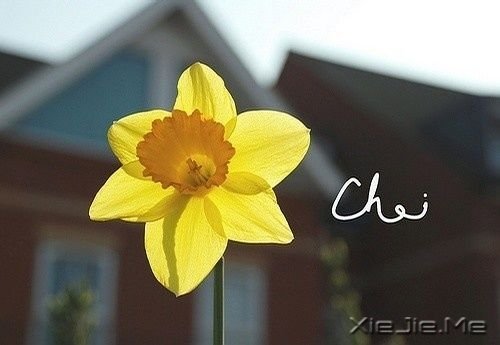 微笑,春暖花开 (1)