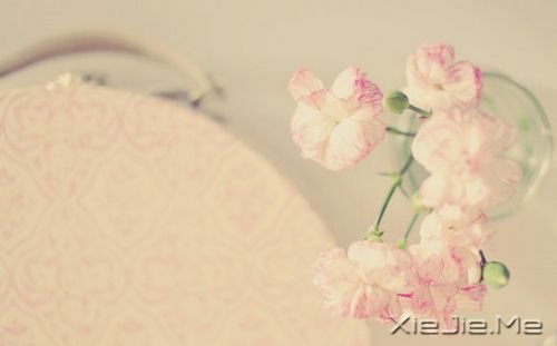 微笑,春暖花开 (2)