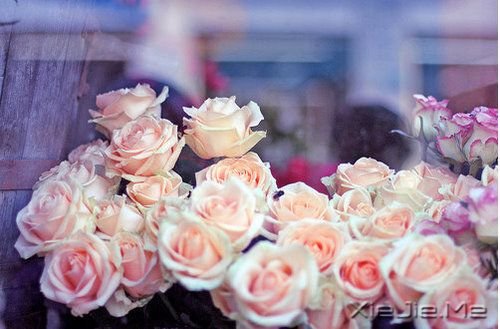 ������һ�ֵ�������� (6)