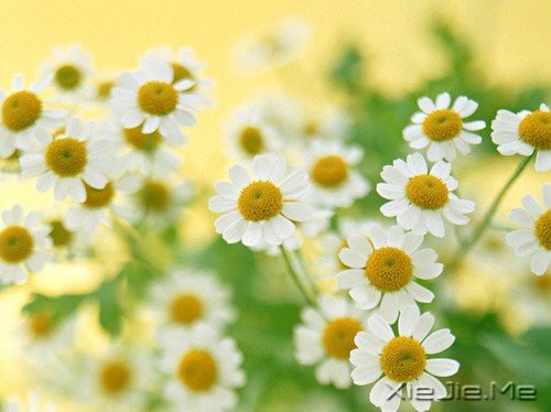 ϲ���������ˣ�����һ������һ������������