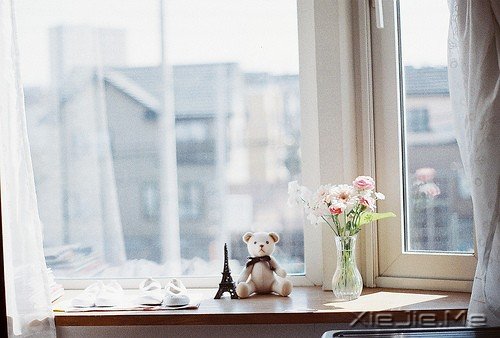 ���������ľ������